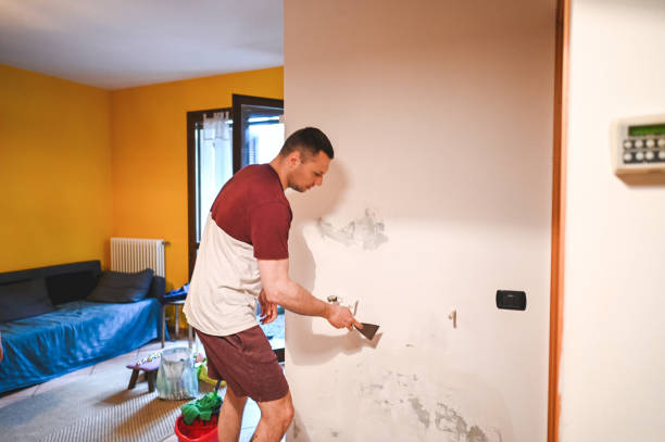 Best Basement Mold Remediation in Bridgewater Center, NJ